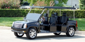 affordable golf cart rental, golf cart rent lamplighter village golf cart rental