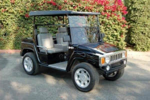 affordable golf cart rental, golf cart rent lamplighter village golf cart rental