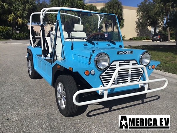 affordable golf cart rental, golf cart rent lamplighter village golf cart rental