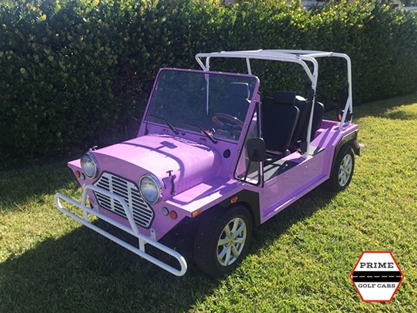 affordable golf cart rental, golf cart rent lamplighter village golf cart rental
